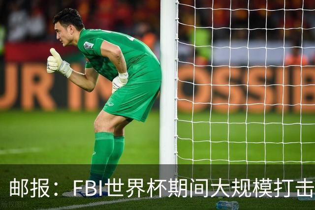 邮报：FBI世界杯期间大规模打击无人机活动，一名非法移民被捕